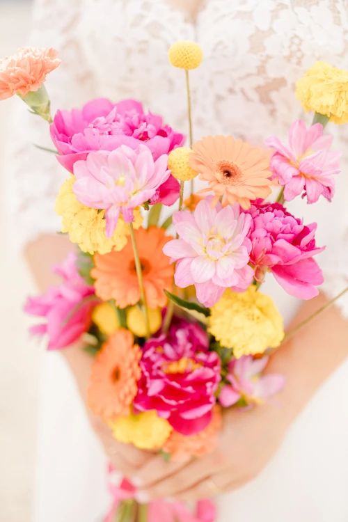 fleur jaune pétale rouge rose